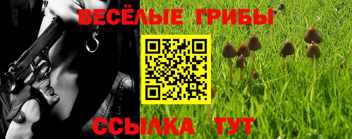 Псилоцибиновые грибы прущие грибы Курчалой
