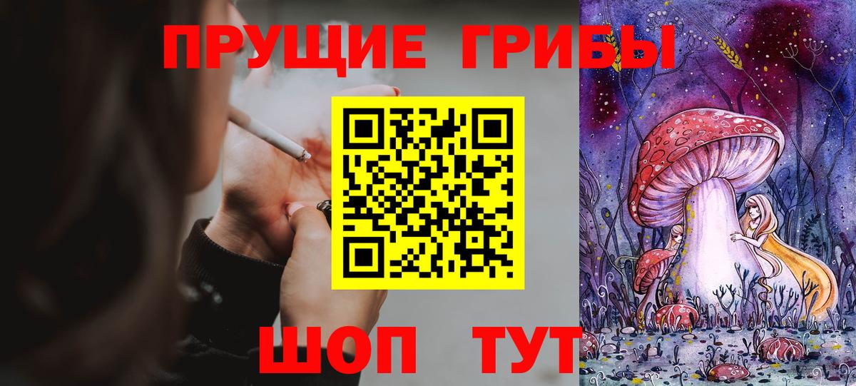 где продают наркотики  Вход с VPN  Псилоцибиновые грибы мицелий  Курчалой  Галлюциногенные грибы Psilocybine cubensis 