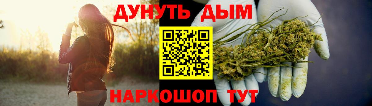 Бошки Шишки MAZAR Курчалой